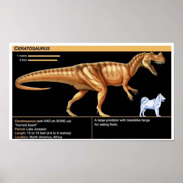 Ceratosaurus - Biology Jurassic Poster (Front)