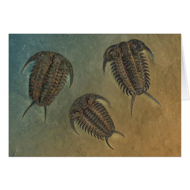 Ceraurus  and Leviceraurus (Front Horizontal)