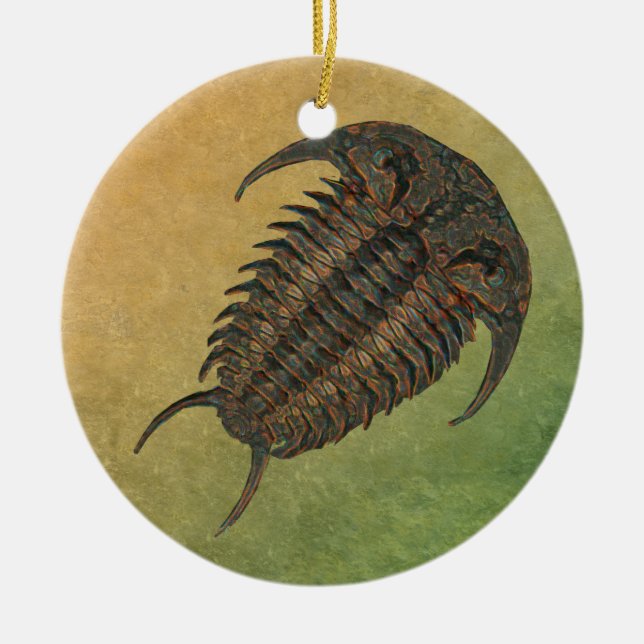 Ceraurus Fossil Trilobite Ceramic Tree Decoration (Front)