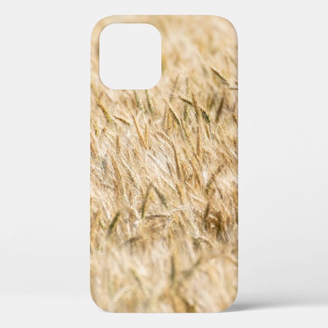 Cereals cornfield ripe agriculture Case-Mate iPhone case (Back)