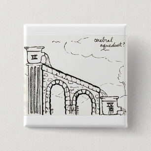 Cerebral Aqueduct button