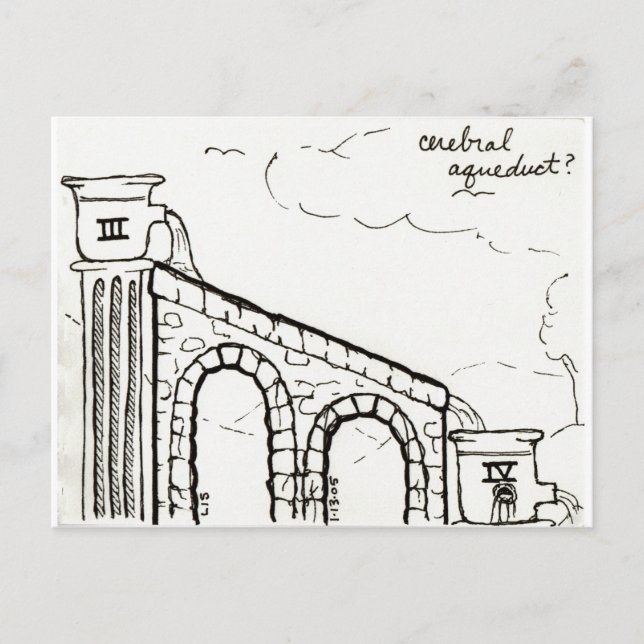 Cerebral Aqueduct postcard (Front)
