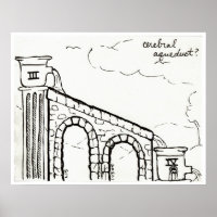 Cerebral Aqueduct print