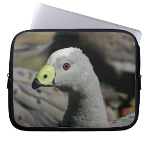 Cereopsis novaehollandiae or Cape Barren Goose Laptop Sleeve