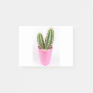 Cereus cactus in a pink pot post-it notes