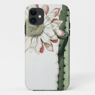 Cereus Erectus Altissimus Syrinamensis from 'Phyth iPhone 11 Case