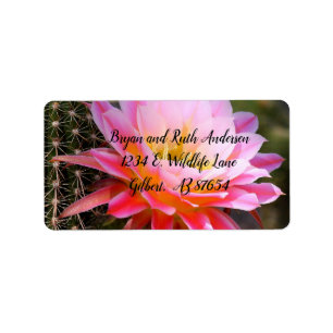 Cereus in Pink Cactus Bloom Label