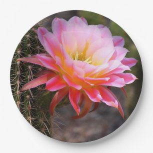 Cereus in pink cactus bloom paper plate