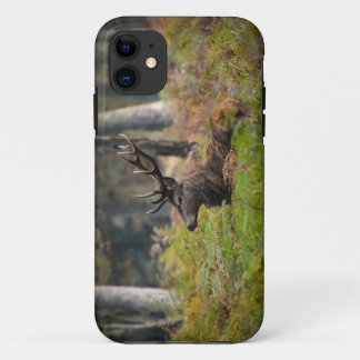 Cerf in the forest of fountainebleau iPhone 11 case