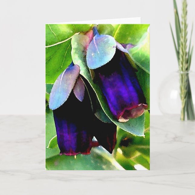 CERINTHE NOTECARD/BLANK CARD (Front)