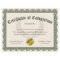 Certificate of Completion, Customisable 8.5x11