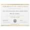 Certificate of Completion Gold Modern Elegant Chic