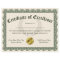 Certificate of Excellence, Customisable 8.5x11