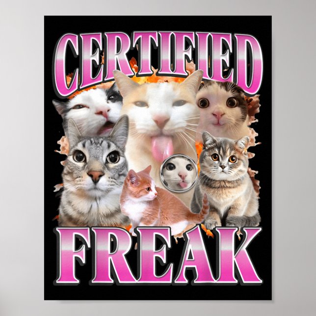 Certified cat graphic bootleg funny gen z humor  poster (Front)