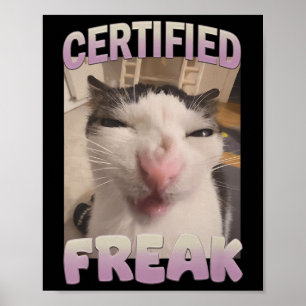 Certified Freak Cat Meme Meme Offensive Memes Funn Poster