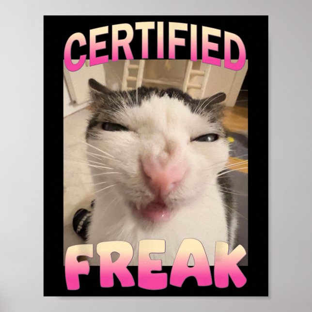 Certified Freak Cat Meme Offensive Memes Funny Cat Poster (Front)