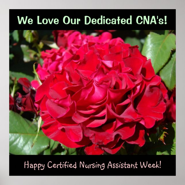 Certified Nursing Assistants Week art prints CNAs (Front)