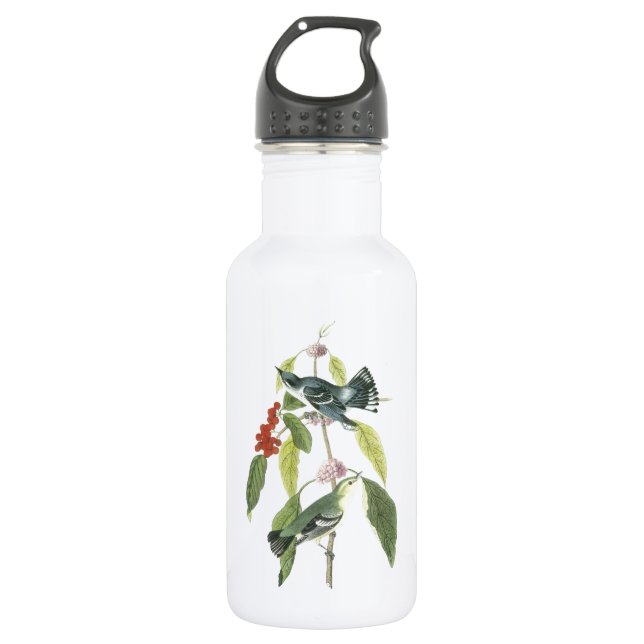 Cerulean Warbler by Audubon 532 Ml Water Bottle (Front)