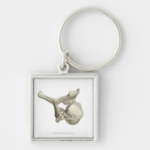 Cervical Vertebra Key Ring