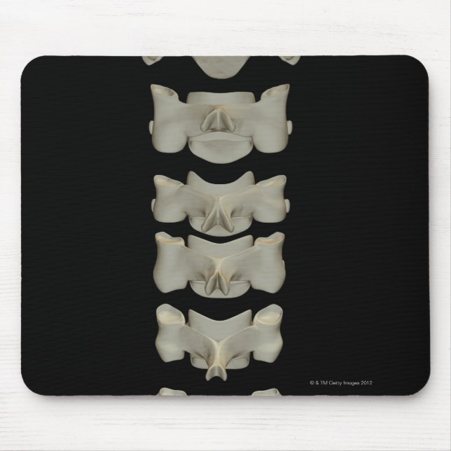 Cervical Vertebrae Mouse Mat (Front)