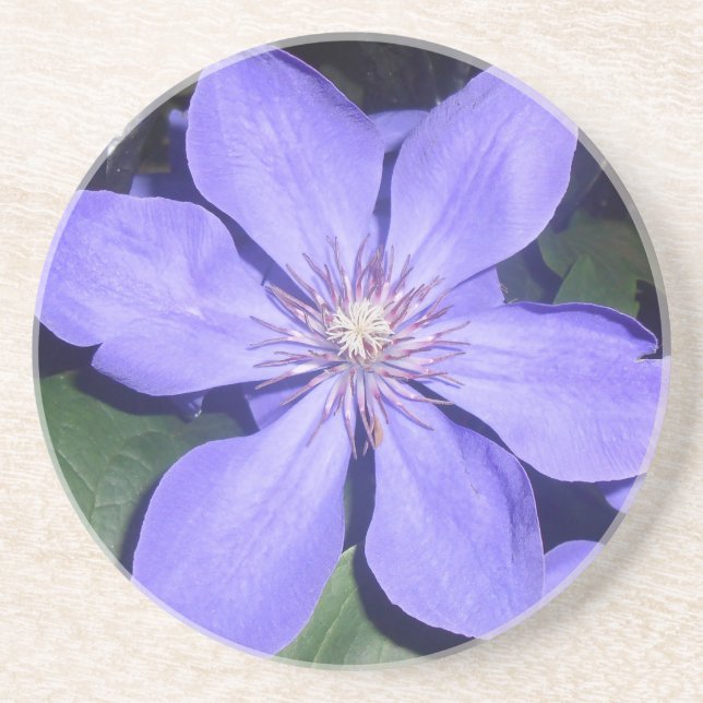 Césarine Coaster (Front)