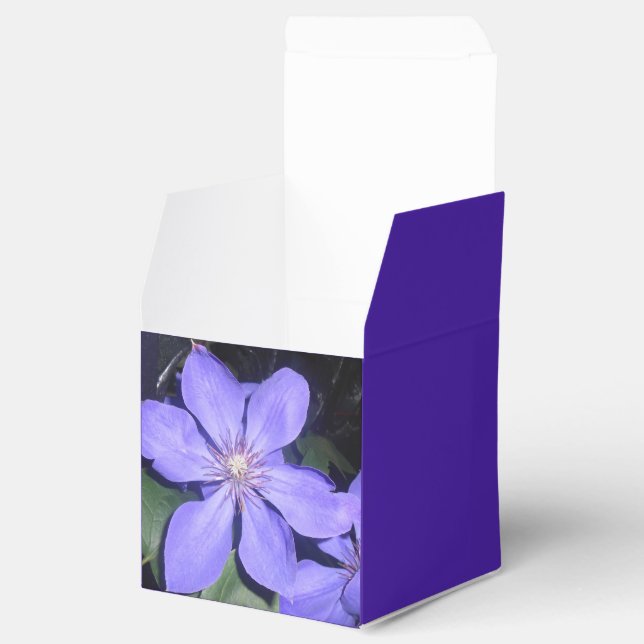 Césarine Favour Box (Opened)