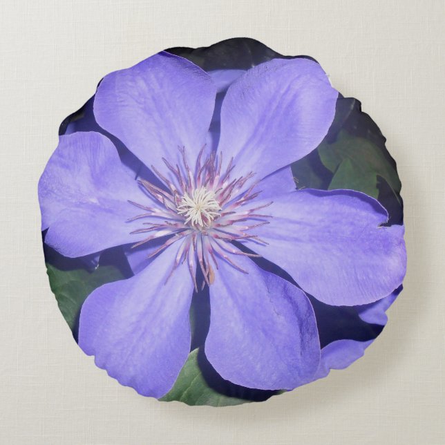 Césarine Round Cushion (Back)