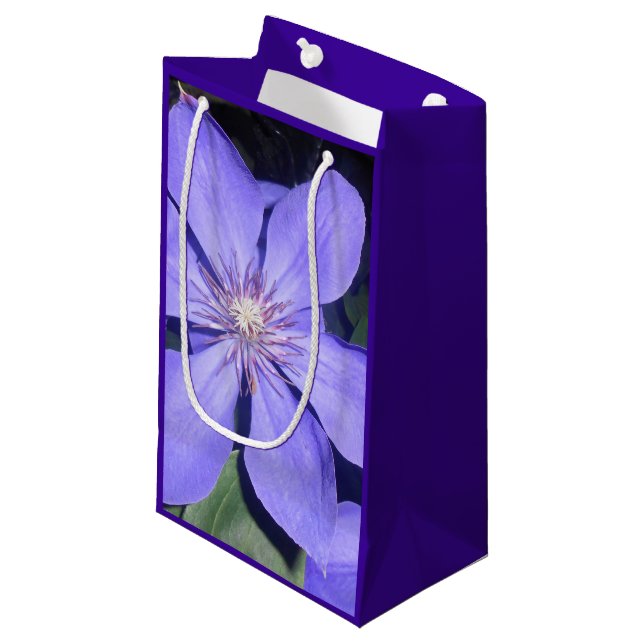 Césarine Small Gift Bag (Front Angled)