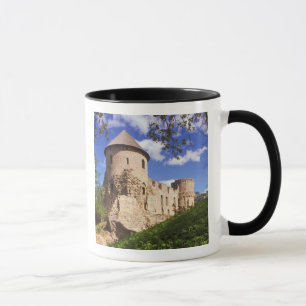 Cesis Castle in central Latvia. Mug