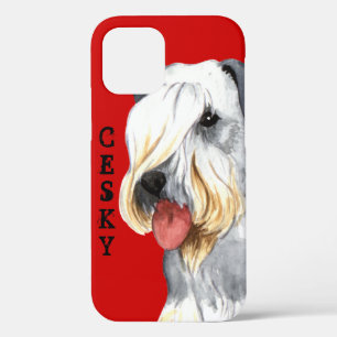 Cesky Terrier Colour Block iPhone 12 Case