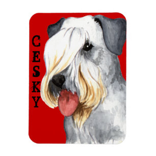 Cesky Terrier Colour Block Magnet