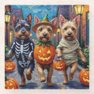 Cesky Terrier Trick-or-Treating Halloween Costume  Glass Coaster