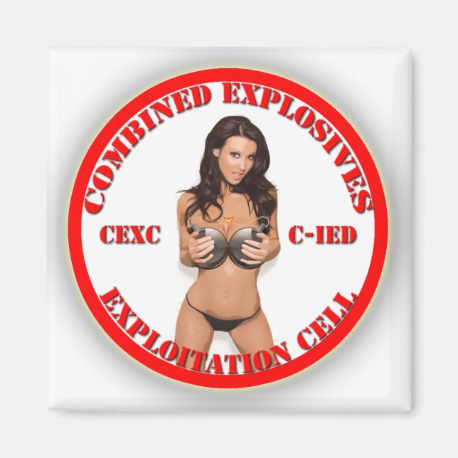 CEXC Combined Explosives Exploitation Cell CIED Magnet (Front)