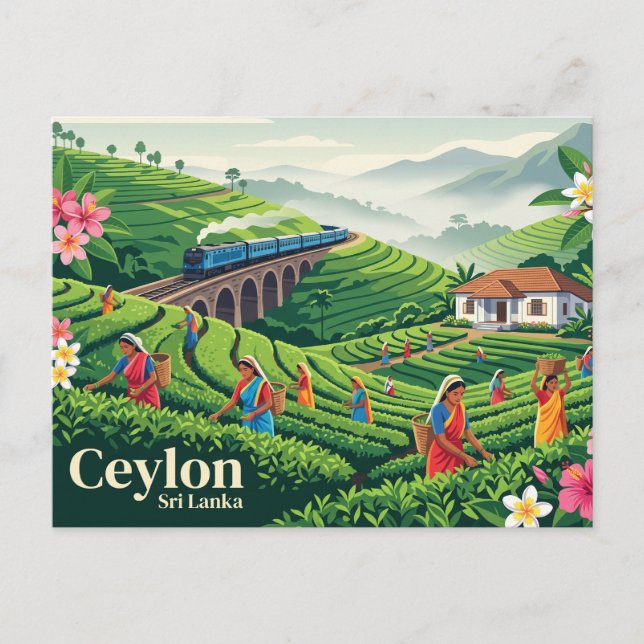 Ceylon Sri Lanka Postcard (Front)