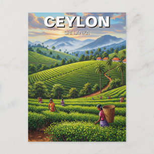 Ceylon Sri Lanka Travel Postcard