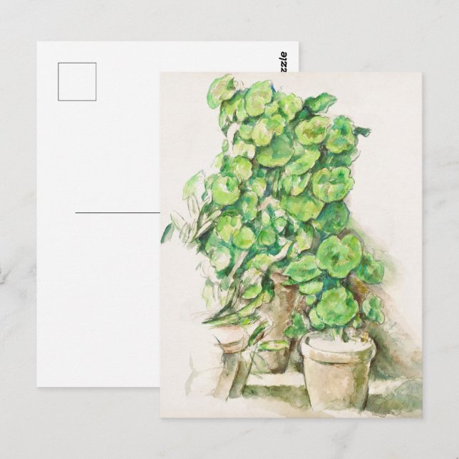 Cezanne Geraniums Vintage Botanical Art Print Postcard (Front/Back)