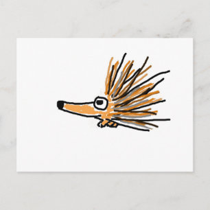 CF- Funky Porcupine Postcard