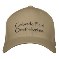 CFO embroidered cap