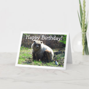 CGB Chubby Grizzly Bear Card