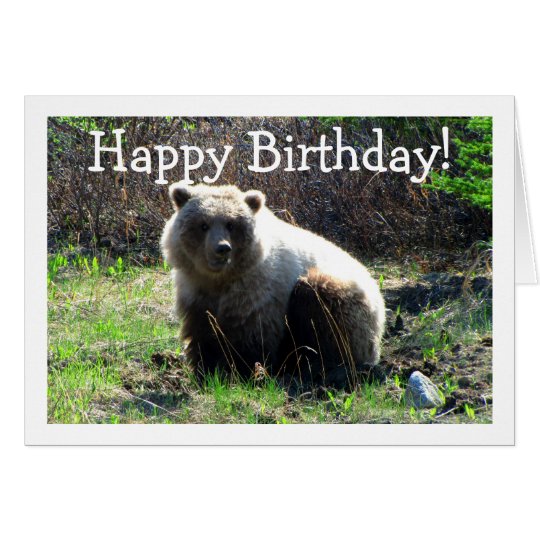CGB Chubby Grizzly Bear Card