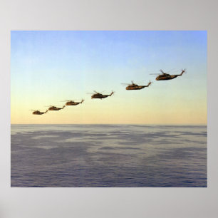 CH-53D Sea Stallions Poster
