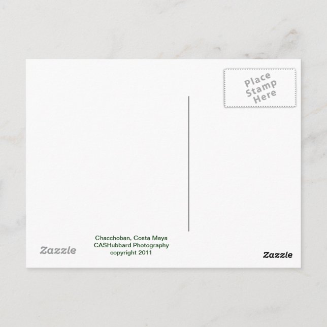 Chacchoban Pyramid Postcard (Back)