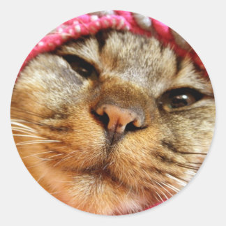 Chad of the Pink Hat Classic Round Sticker