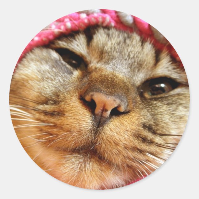 Chad of the Pink Hat Classic Round Sticker (Front)