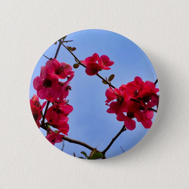 Chaenomeles speciosa Badge (Front)
