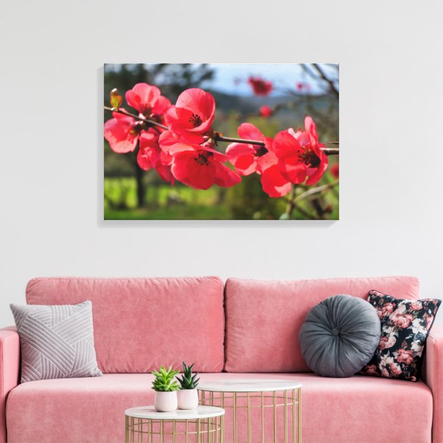 Chaenomeles speciosa canvas print (Insitu(LivingRoom))