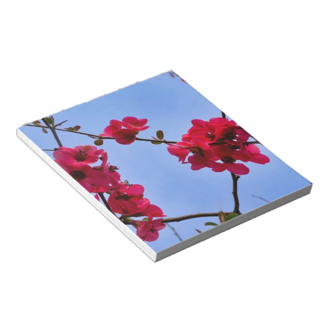 Chaenomeles speciosa notepad (Angled)