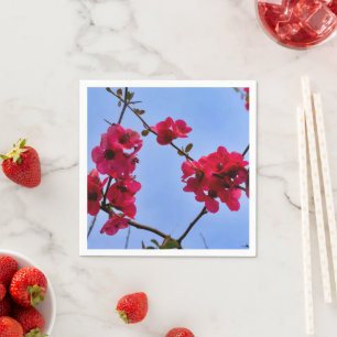 Chaenomeles speciosa Paper Napkins