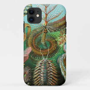 Chaetopoda illustration by Ernst Haeckel iPhone 11 Case