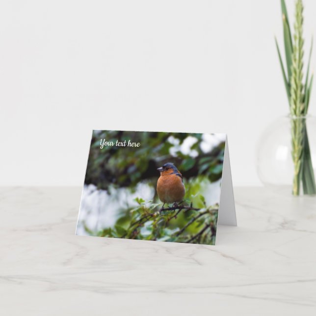 Chaffinch bird Greeting card (Front)